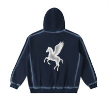 Load image into Gallery viewer, Pegasus Sunfaded Hoodie